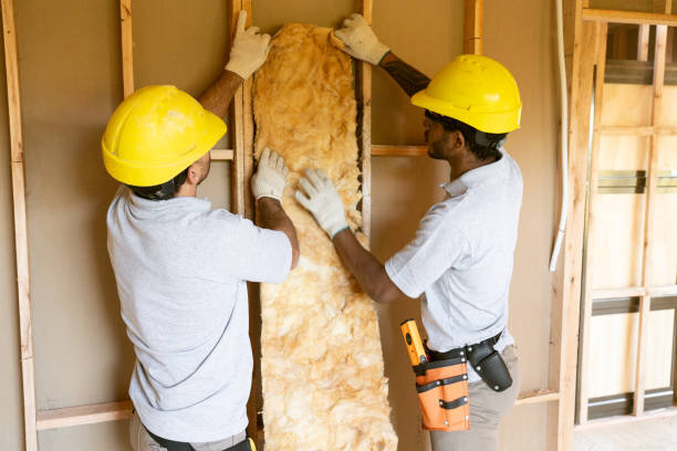 Best Attic Insulation Installation  in Sac City, IA